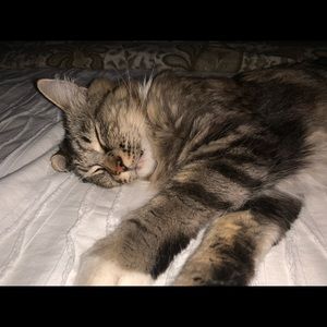 Meet your Posher, Holly